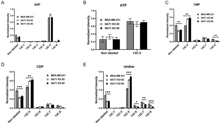 https://cdn.ncbi.nlm.nih.gov/pmc/blobs/e56e/10137864/456884394f91/genes-14-00843-g006.jpg