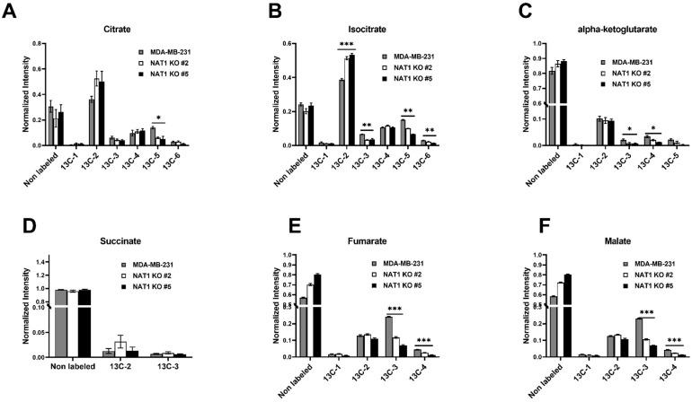 https://cdn.ncbi.nlm.nih.gov/pmc/blobs/e56e/10137864/509575052ea0/genes-14-00843-g005.jpg