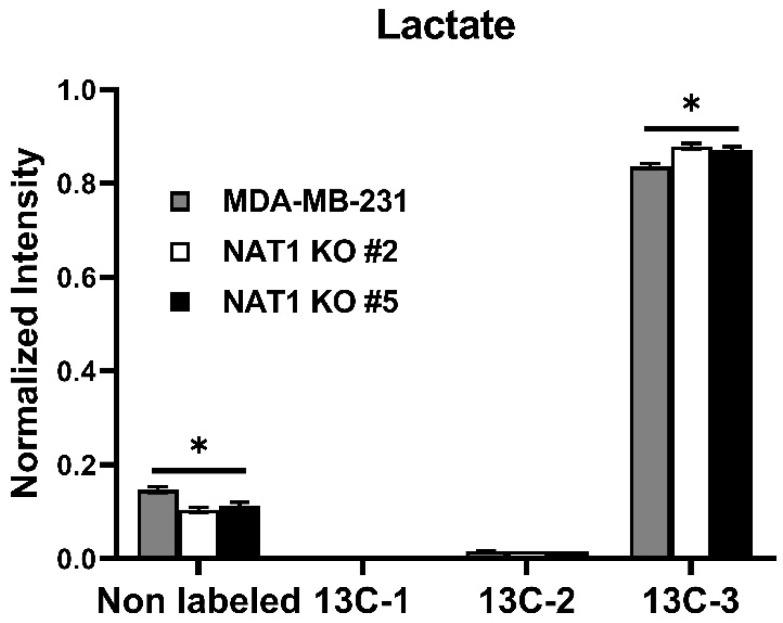 https://cdn.ncbi.nlm.nih.gov/pmc/blobs/e56e/10137864/82d84ad0cc00/genes-14-00843-g004.jpg