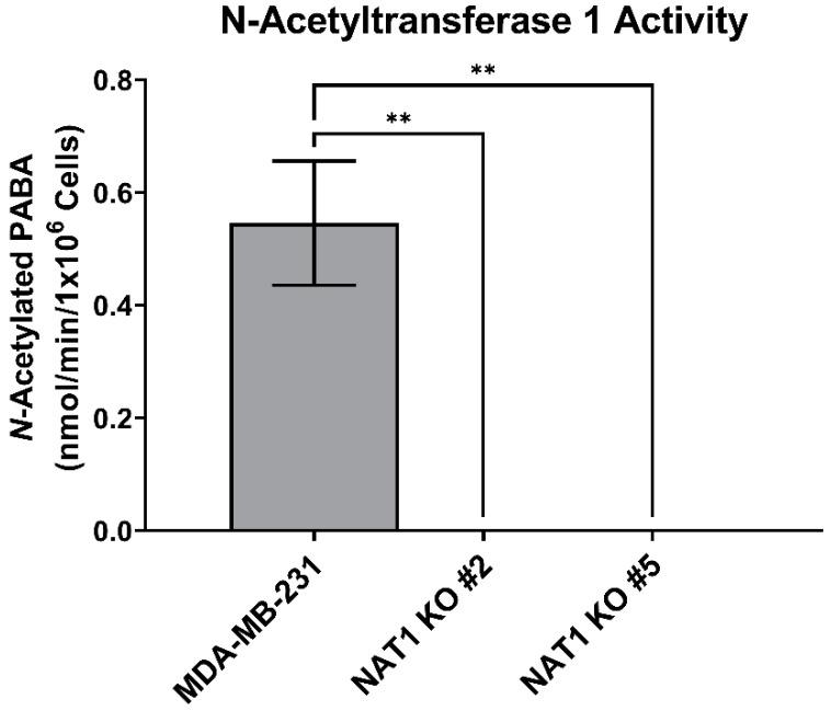 https://cdn.ncbi.nlm.nih.gov/pmc/blobs/e56e/10137864/98fa65cee026/genes-14-00843-g002.jpg