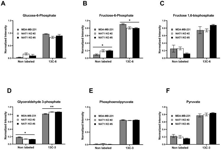 https://cdn.ncbi.nlm.nih.gov/pmc/blobs/e56e/10137864/aca3fc53903c/genes-14-00843-g003.jpg