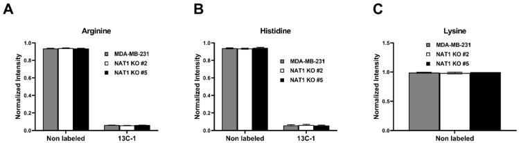 https://cdn.ncbi.nlm.nih.gov/pmc/blobs/e56e/10137864/b0f59142adb9/genes-14-00843-g008a.jpg