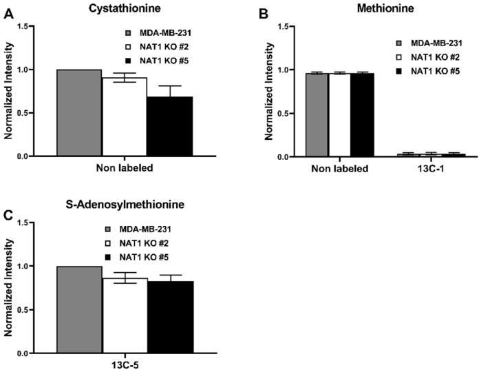 https://cdn.ncbi.nlm.nih.gov/pmc/blobs/e56e/10137864/b7aecc96f012/genes-14-00843-g007.jpg