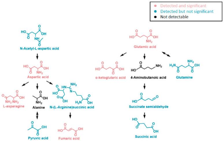 https://cdn.ncbi.nlm.nih.gov/pmc/blobs/e56e/10137864/c7b5eed9f06f/genes-14-00843-g012.jpg
