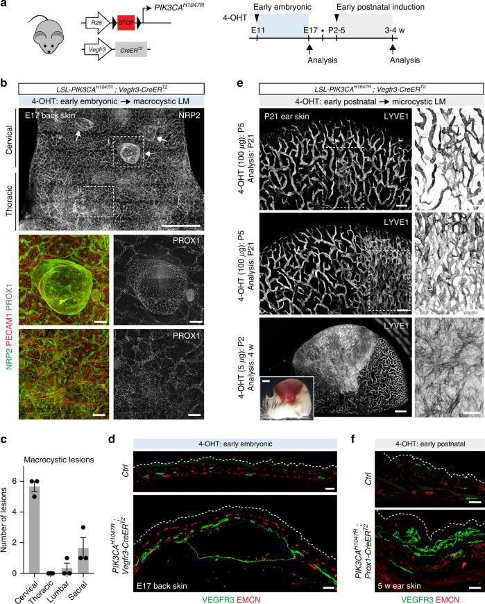 https://cdn.ncbi.nlm.nih.gov/pmc/blobs/e573/7280302/a743f03c4265/41467_2020_16496_Fig2_HTML.jpg