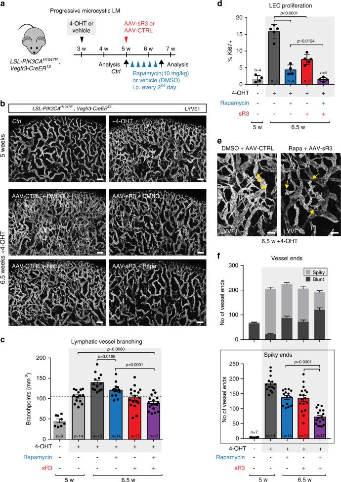 https://cdn.ncbi.nlm.nih.gov/pmc/blobs/e573/7280302/d682fcb80246/41467_2020_16496_Fig5_HTML.jpg
