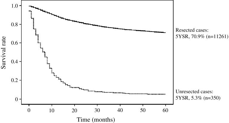 https://cdn.ncbi.nlm.nih.gov/pmc/blobs/e574/3196643/1fab696d5c95/10120_2011_85_Fig4_HTML.jpg