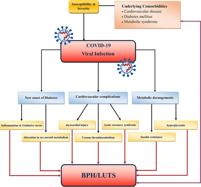 https://cdn.ncbi.nlm.nih.gov/pmc/blobs/e574/8129694/939de82ef2c4/41391_2021_388_Fig4_HTML.jpg