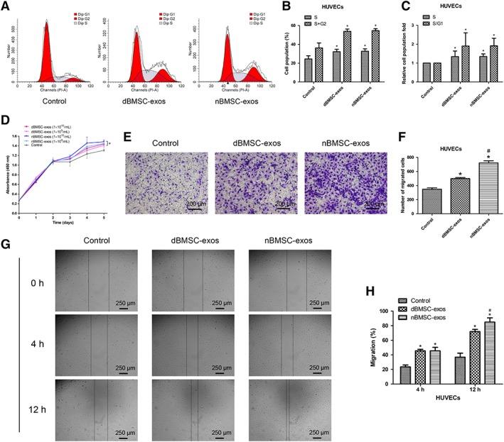 https://cdn.ncbi.nlm.nih.gov/pmc/blobs/e575/6525563/2fa4acaea591/SCT3-8-593-g003.jpg