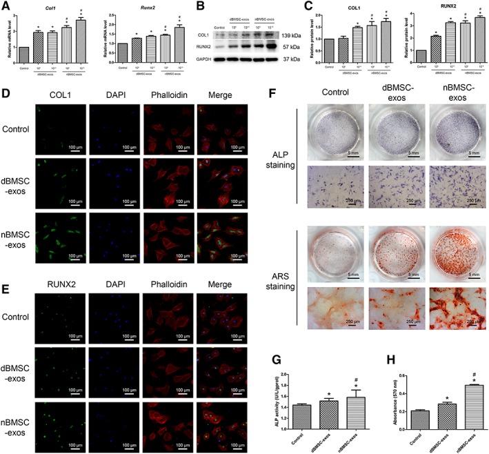 https://cdn.ncbi.nlm.nih.gov/pmc/blobs/e575/6525563/9e32183ad9d5/SCT3-8-593-g004.jpg