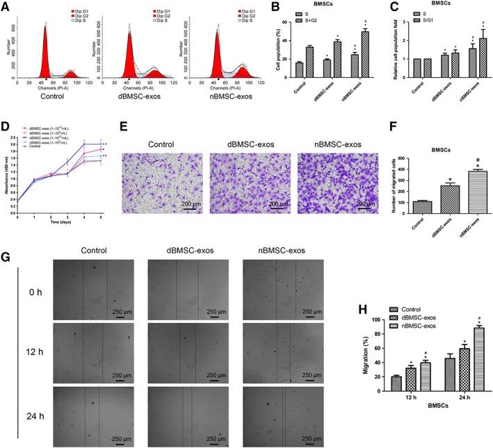 https://cdn.ncbi.nlm.nih.gov/pmc/blobs/e575/6525563/d1d32502235d/SCT3-8-593-g002.jpg