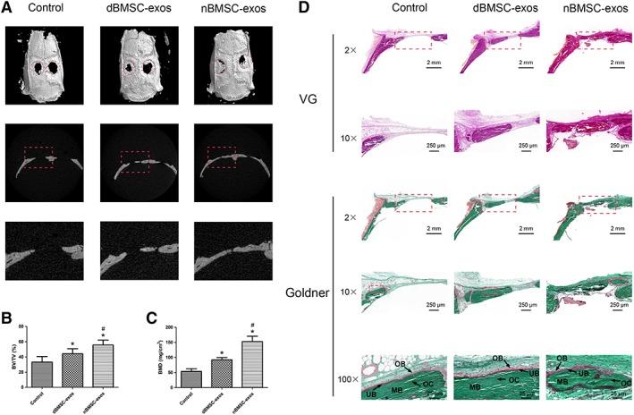 https://cdn.ncbi.nlm.nih.gov/pmc/blobs/e575/6525563/e7623f7d7218/SCT3-8-593-g006.jpg