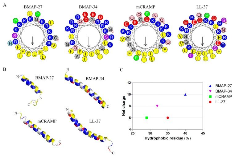 https://cdn.ncbi.nlm.nih.gov/pmc/blobs/e577/7084556/3cf85f642a06/ijms-21-01871-g001.jpg