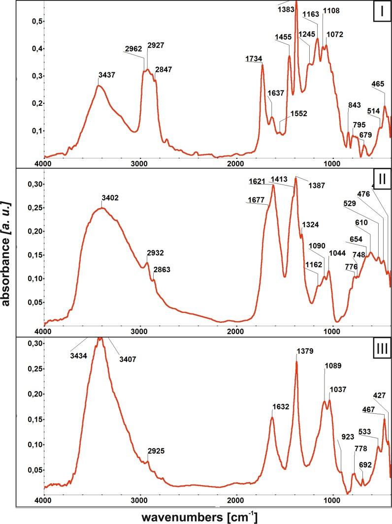 https://cdn.ncbi.nlm.nih.gov/pmc/blobs/e579/5797563/645cff628f96/10653_2017_9934_Fig3_HTML.jpg