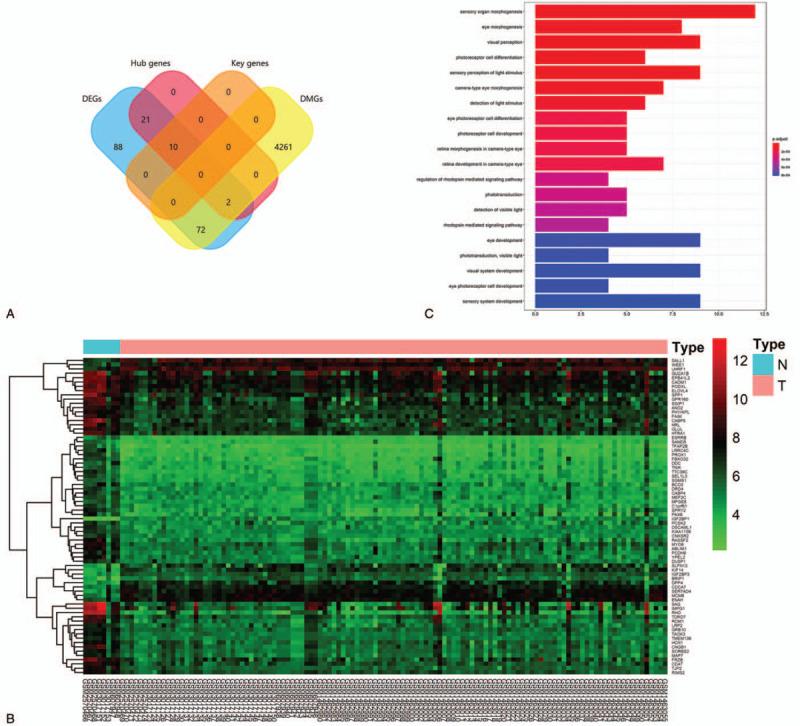 https://cdn.ncbi.nlm.nih.gov/pmc/blobs/e57b/7676602/d238a712e4d2/medi-99-e23314-g004.jpg