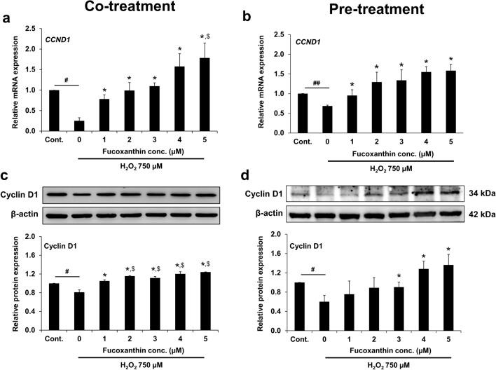 https://cdn.ncbi.nlm.nih.gov/pmc/blobs/e57d/10752906/41c971f4a240/41598_2023_49751_Fig8_HTML.jpg