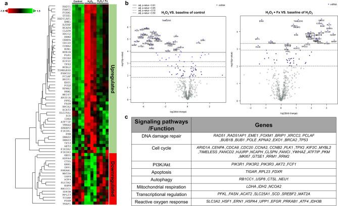 https://cdn.ncbi.nlm.nih.gov/pmc/blobs/e57d/10752906/5439b8761213/41598_2023_49751_Fig10_HTML.jpg