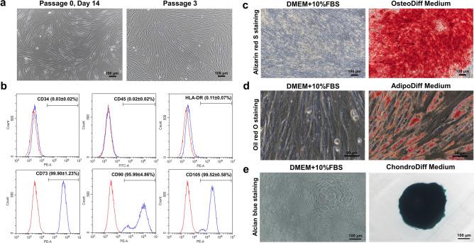 https://cdn.ncbi.nlm.nih.gov/pmc/blobs/e57d/10752906/9be305578a09/41598_2023_49751_Fig2_HTML.jpg