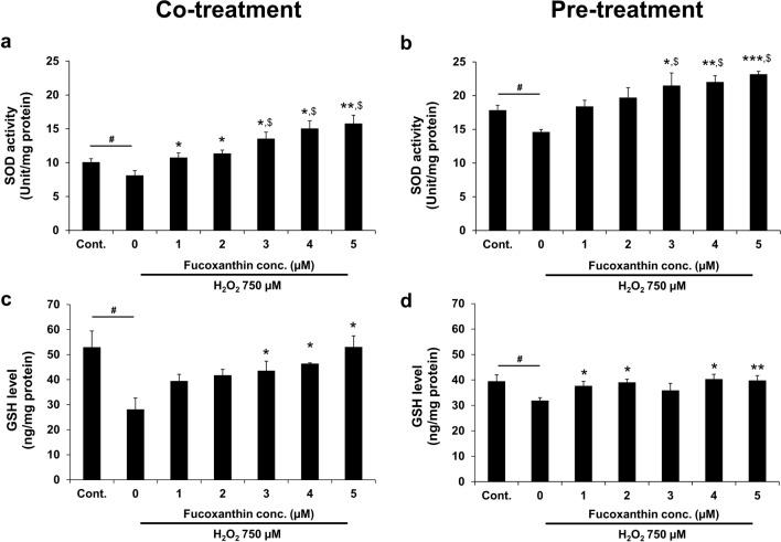 https://cdn.ncbi.nlm.nih.gov/pmc/blobs/e57d/10752906/b819557eef8f/41598_2023_49751_Fig5_HTML.jpg