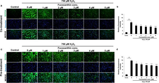 https://cdn.ncbi.nlm.nih.gov/pmc/blobs/e57d/10752906/efb21cfbd3c3/41598_2023_49751_Fig6_HTML.jpg