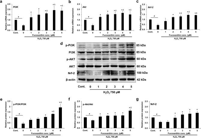 https://cdn.ncbi.nlm.nih.gov/pmc/blobs/e57d/10752906/f3fa041926db/41598_2023_49751_Fig9_HTML.jpg