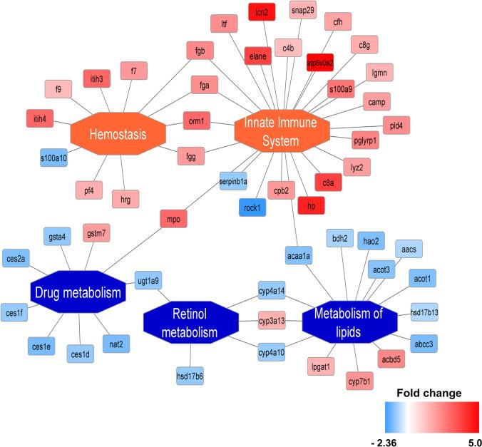 https://cdn.ncbi.nlm.nih.gov/pmc/blobs/e580/11266261/4ec80d519072/10557_2023_7430_Fig4_HTML.jpg