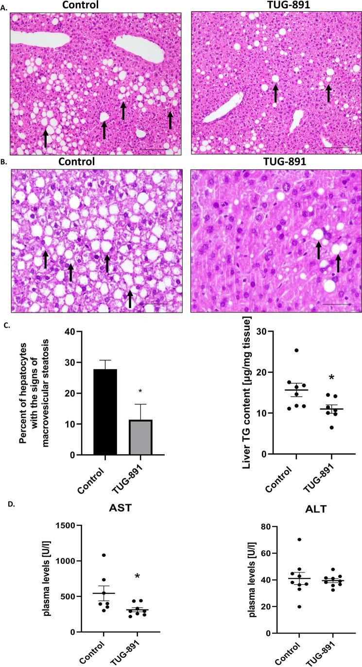 https://cdn.ncbi.nlm.nih.gov/pmc/blobs/e580/11266261/5673c35120e7/10557_2023_7430_Fig1_HTML.jpg