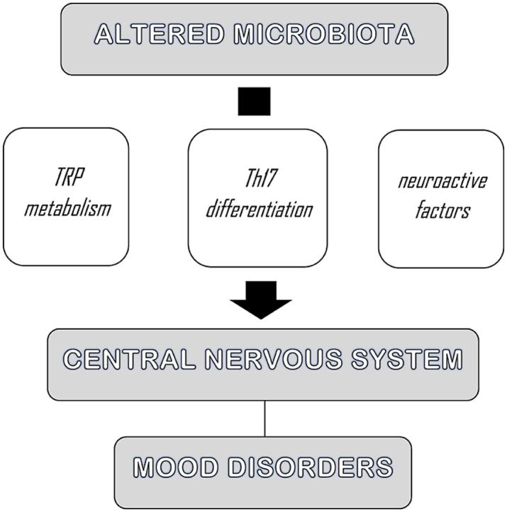 https://cdn.ncbi.nlm.nih.gov/pmc/blobs/e580/9846469/2f90c86732b3/ga1.jpg