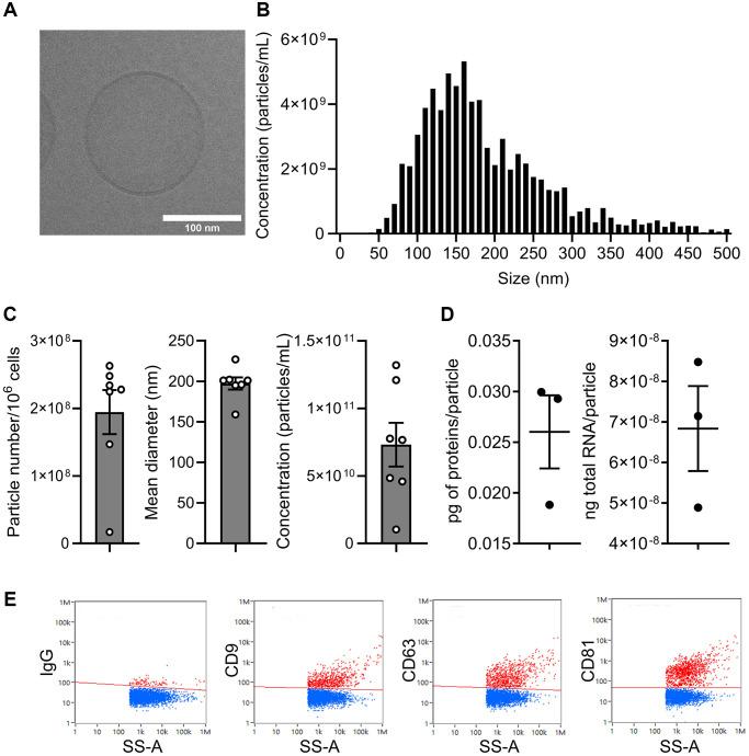 https://cdn.ncbi.nlm.nih.gov/pmc/blobs/e582/11719114/3a9d31a8fd6f/aging-16-206158-g002.jpg