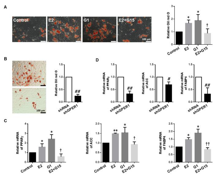https://cdn.ncbi.nlm.nih.gov/pmc/blobs/e582/9828292/868ac8b1b9ac/abbs-2021-491-t4.jpg