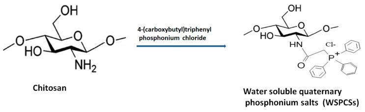https://cdn.ncbi.nlm.nih.gov/pmc/blobs/e583/8347635/601ee498a51f/polymers-13-02514-g008.jpg