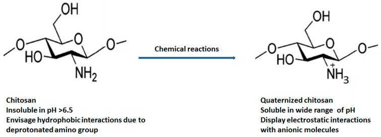 https://cdn.ncbi.nlm.nih.gov/pmc/blobs/e583/8347635/67fb84df08d5/polymers-13-02514-g002.jpg
