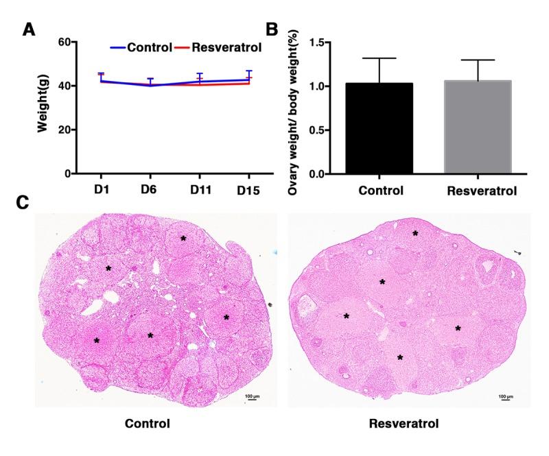 https://cdn.ncbi.nlm.nih.gov/pmc/blobs/e585/6075442/9810c5279370/aging-10-101494-g001.jpg