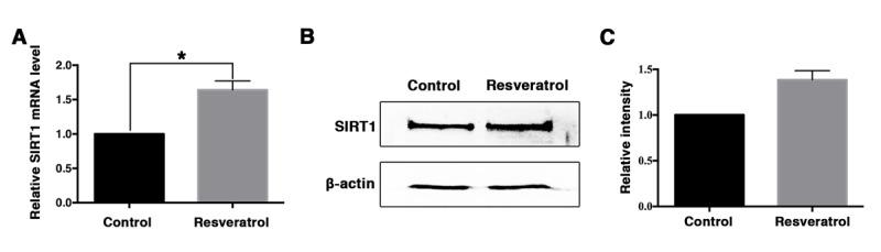 https://cdn.ncbi.nlm.nih.gov/pmc/blobs/e585/6075442/e9dce875212e/aging-10-101494-g003.jpg