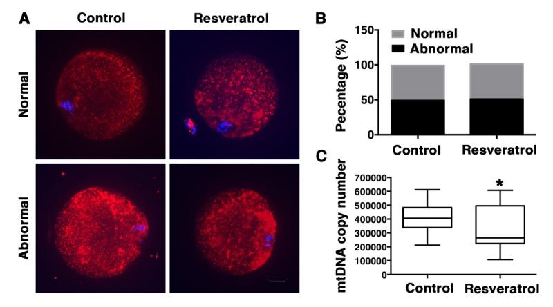 https://cdn.ncbi.nlm.nih.gov/pmc/blobs/e585/6075442/f64c3f0f34cb/aging-10-101494-g005.jpg