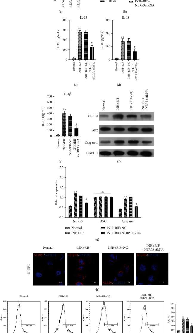 https://cdn.ncbi.nlm.nih.gov/pmc/blobs/e586/7914095/1be57c71ca8f/MI2021-8086253.005.jpg