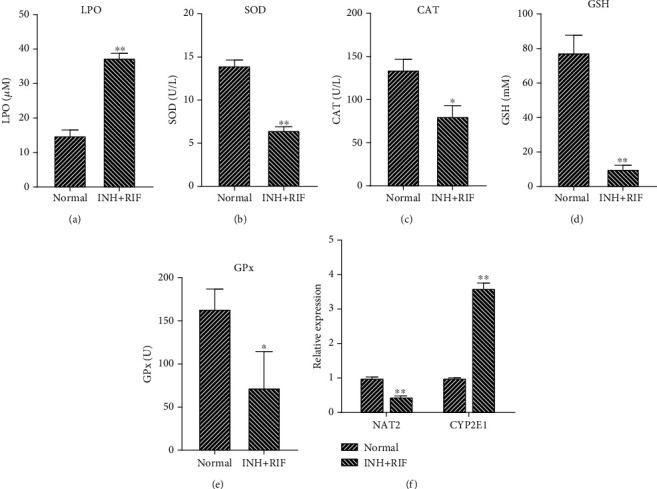 https://cdn.ncbi.nlm.nih.gov/pmc/blobs/e586/7914095/b11bd06c21b6/MI2021-8086253.002.jpg