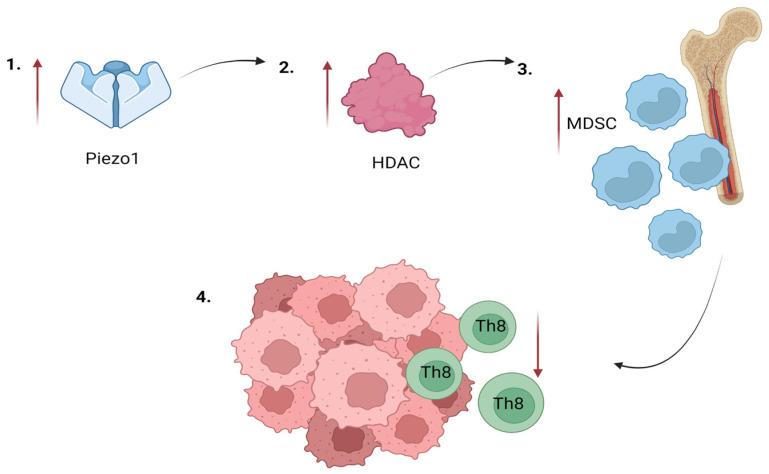 https://cdn.ncbi.nlm.nih.gov/pmc/blobs/e589/9965697/d24080642148/membranes-13-00167-g004.jpg
