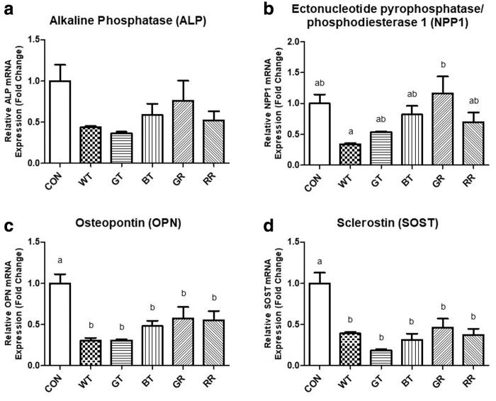 https://cdn.ncbi.nlm.nih.gov/pmc/blobs/e58a/8403192/716ddb5862ab/jmf.2020.0139_figure5.jpg