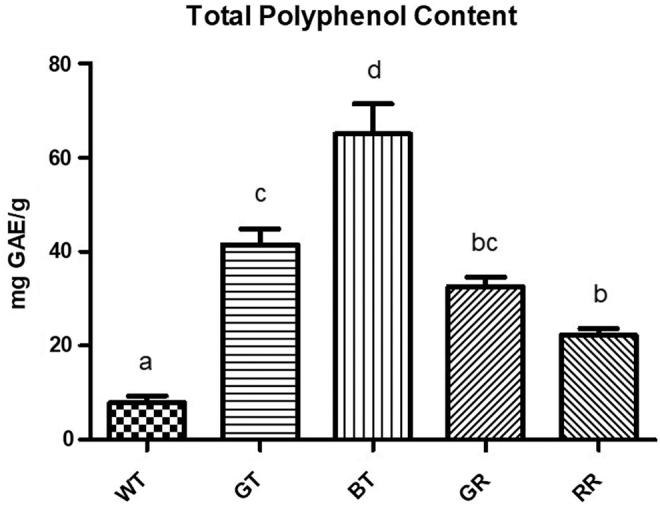 https://cdn.ncbi.nlm.nih.gov/pmc/blobs/e58a/8403192/7f1b03f2dabf/jmf.2020.0139_figure1.jpg