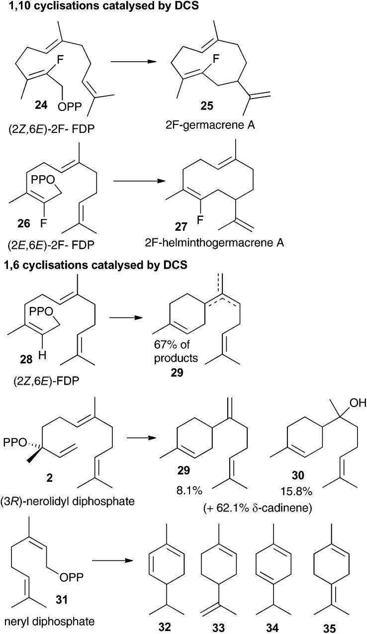 https://cdn.ncbi.nlm.nih.gov/pmc/blobs/e58c/6369673/1ca8b4c45e11/c8ob02821d-f2.jpg