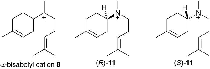 https://cdn.ncbi.nlm.nih.gov/pmc/blobs/e58c/6369673/fd2e969dc943/c8ob02821d-f1.jpg