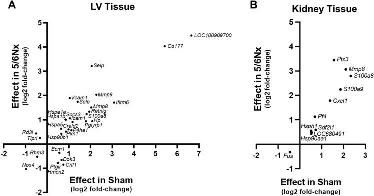 https://cdn.ncbi.nlm.nih.gov/pmc/blobs/e58e/10284882/1211e244ba60/41598_2023_36647_Fig6_HTML.jpg