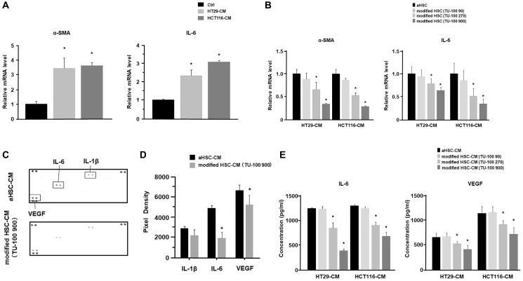 https://cdn.ncbi.nlm.nih.gov/pmc/blobs/e591/7733620/84e8cecd44e1/oncotarget-11-4593-g001.jpg