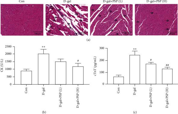 https://cdn.ncbi.nlm.nih.gov/pmc/blobs/e591/8024086/22f9b58b4e48/BMRI2021-6688855.001.jpg