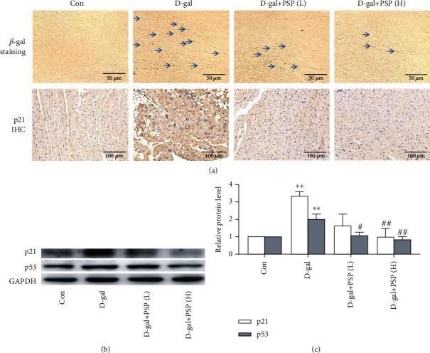 https://cdn.ncbi.nlm.nih.gov/pmc/blobs/e591/8024086/cb465e9c727f/BMRI2021-6688855.002.jpg