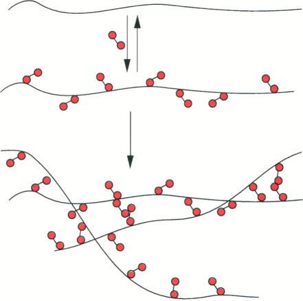 https://cdn.ncbi.nlm.nih.gov/pmc/blobs/e593/1137821/4143df924774/biochemj00095-0014-a.jpg