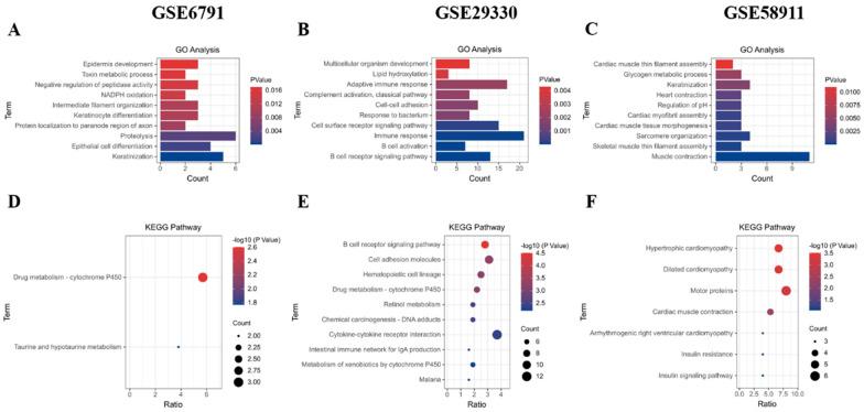 https://cdn.ncbi.nlm.nih.gov/pmc/blobs/e594/11594244/1c7d62eac848/ijms-25-12062-g003.jpg