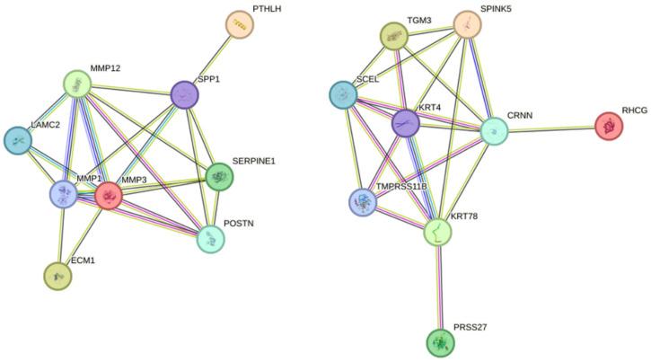 https://cdn.ncbi.nlm.nih.gov/pmc/blobs/e594/11594244/e56edf0764d3/ijms-25-12062-g005.jpg