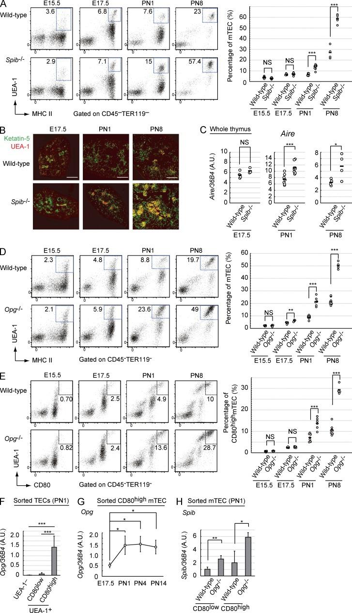 https://cdn.ncbi.nlm.nih.gov/pmc/blobs/e594/4235644/c1d6feaa9e47/JEM_20141207_Fig4.jpg